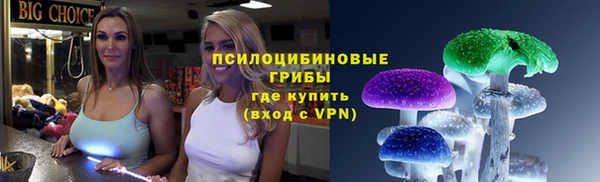 ALPHA PVP Осинники