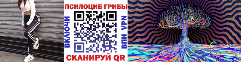 Купить где  Губкин  Галлюциногенные грибы MAGIC MUSHROOMS 