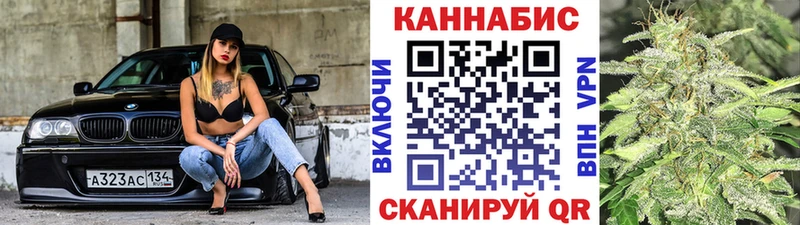 Бошки марихуана сатива  Купить закладки  Губкин 